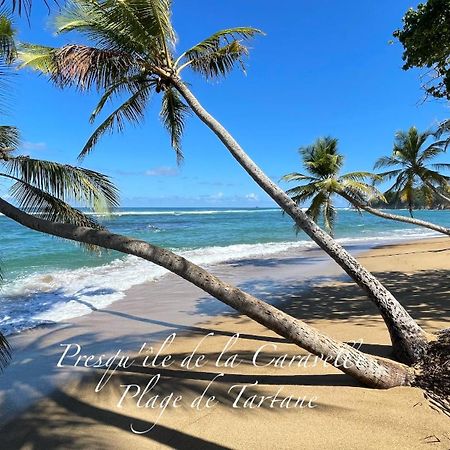 Les Bungalows De La Plage ลา ทรินิเต ภายนอก รูปภาพ