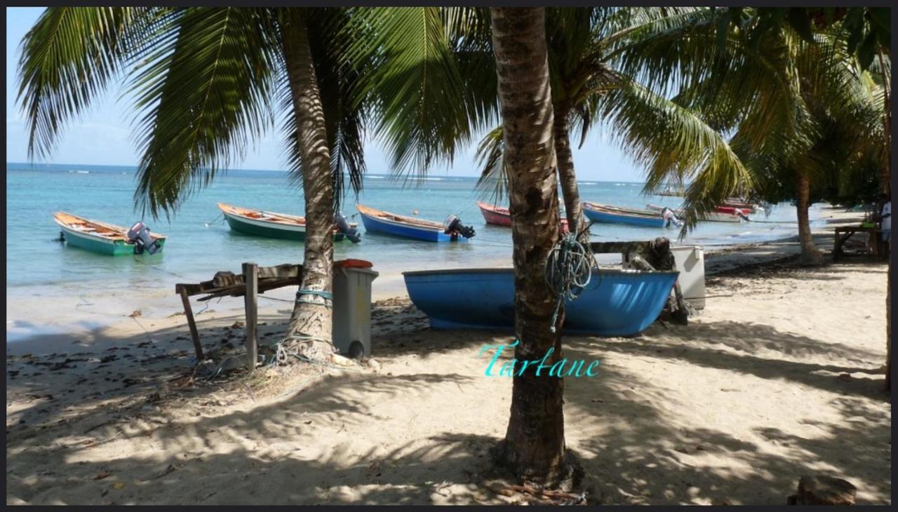 Les Bungalows De La Plage ลา ทรินิเต ภายนอก รูปภาพ