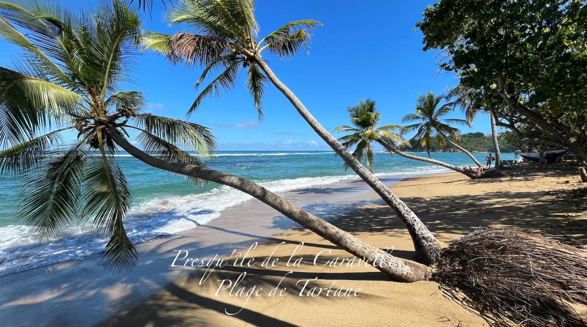 Les Bungalows De La Plage ลา ทรินิเต ภายนอก รูปภาพ